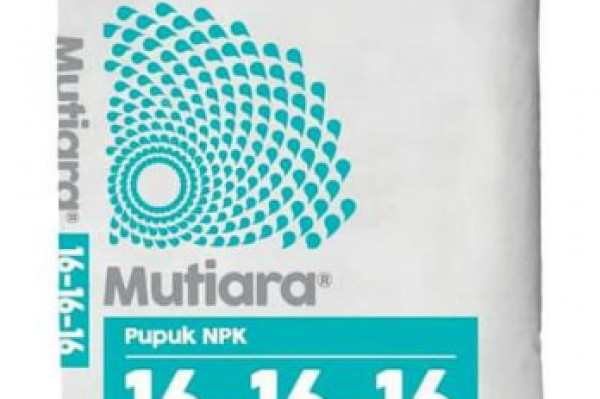 NPK Mutiara 1 Kg