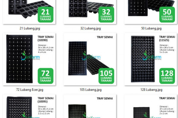 Grosir Tray Semai Seeding Tray hidroponik Untuk Penyemaian - All SIze