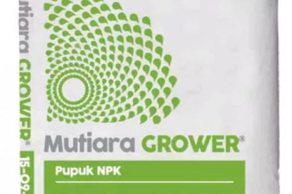 NPK Grower 1 KG