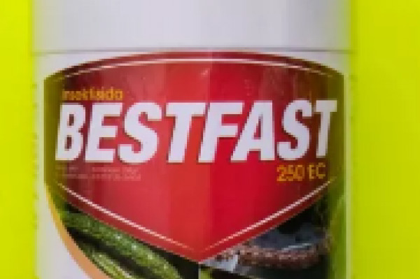 Insektisida BESTFAST 250 ml