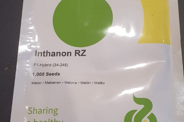 Benih Melon Inthanon RZ 1000 Seed