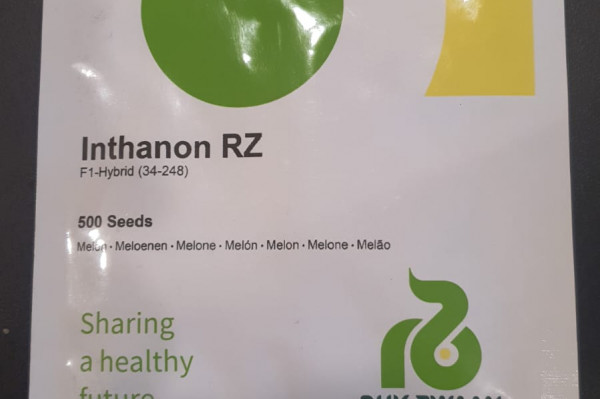 Benih Melon Inthanon RZ 500 Seed