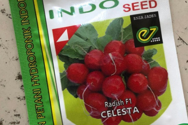 IndoSeed - Benih Lobak Merah / Radish "Celesta"