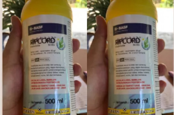 Ripcord 50EC 500ml Insektisida Obat Pembasmi hama