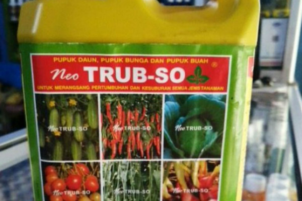 PUPUK CAIR TRUB-SO Mempercepat pertumbuhan dan merangsang pembungaan dan pembuahan DAN MENJAGA DAUN BUNGA