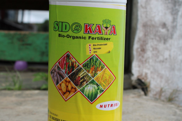 PUPUK ZPT & HORMON ZAT PRANGSANG TUMBUH