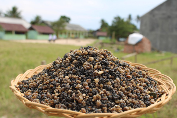NASI OYEK \ NASI SINGKONG \ TIWUL ( 500 Gram )
