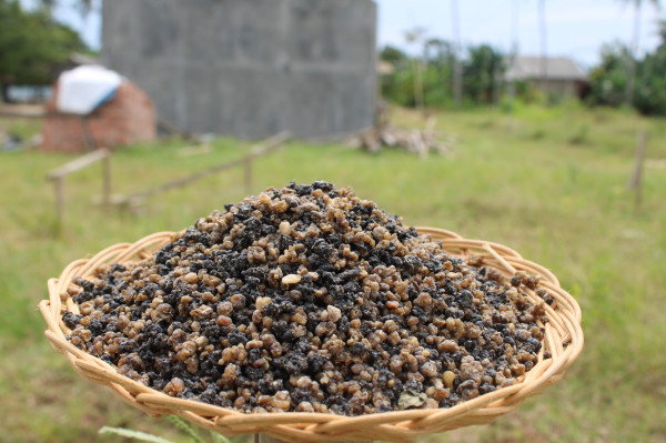 NASI OYEK \ NASI SINGKONG \ TIWUL ( 500 Gram )