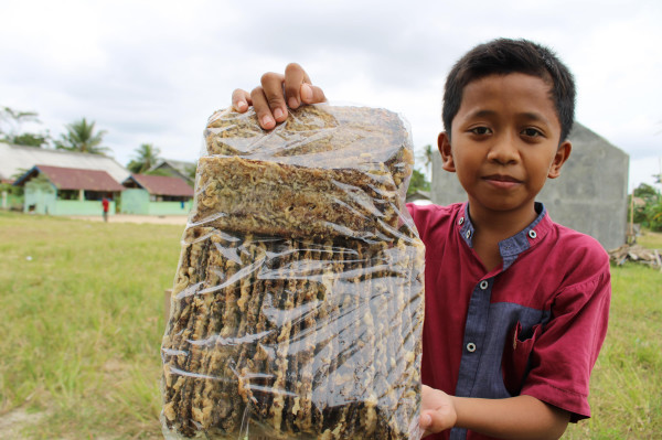 KERIPIK PISANG SALE KERING