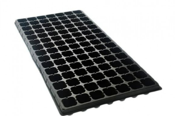 Tray Semai 72 Lubang