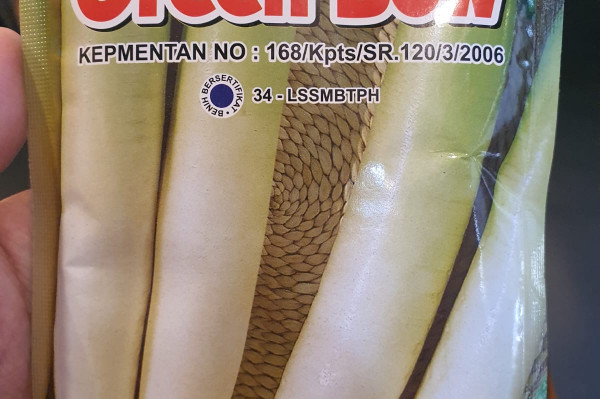 Green BOW F1 Hybrid Radish