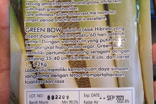 Green BOW F1 Hybrid Radish