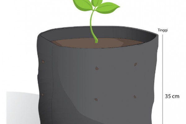 POLYBAG 35CM X 35CM (1 KG)