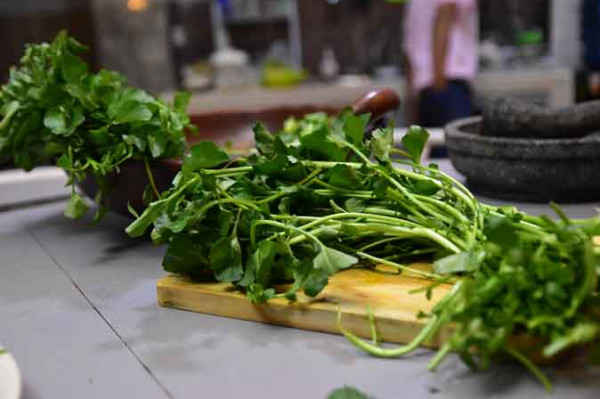 Selada Air (250 Gram)