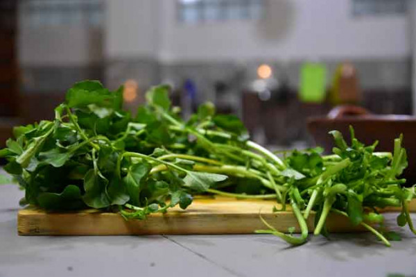 Selada Air (250 Gram)