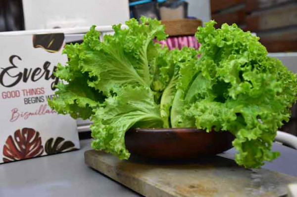 Selada Keriting Hijau (250 Gram)