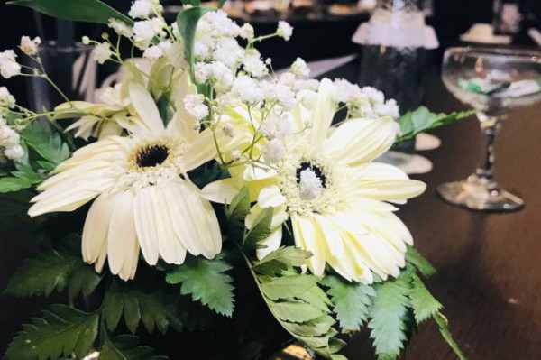 Paket Sayur Komplit Organik