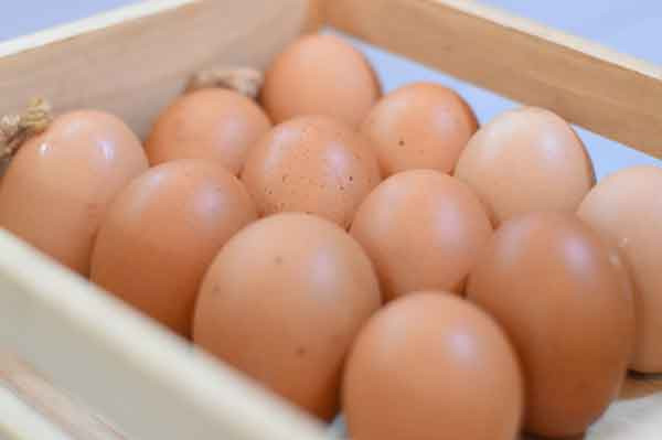 Telur Ayam/Kg (1000 Gram)