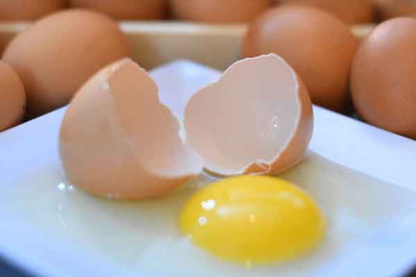 Telur Ayam/Kg (1000 Gram)