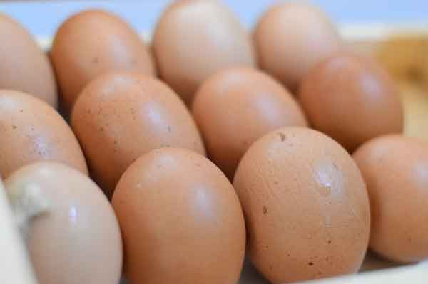 Telur Ayam/Kg (1000 Gram)