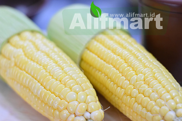 Jagung Manis (250 Gram)