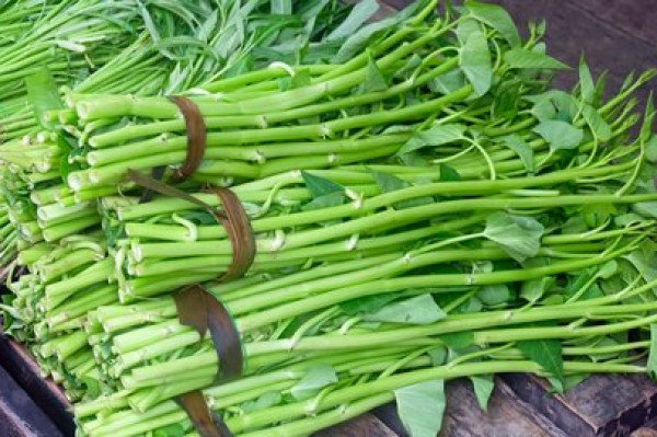 kangkung 1ikat/ 150 gram