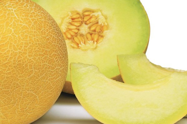 Melon Inthanon 1000 Gram