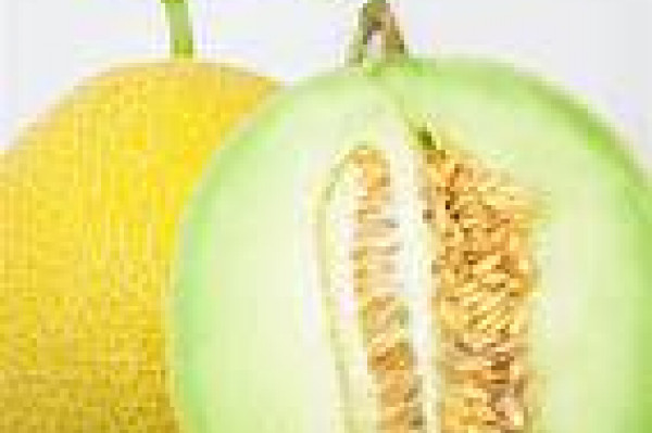 Melon Inthanon 1 kgg