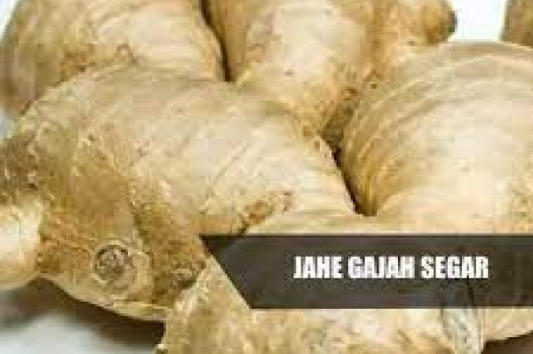 Jahe Gajah 250 gram